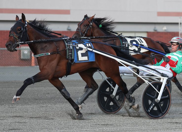 Daley trainees star in NYSS