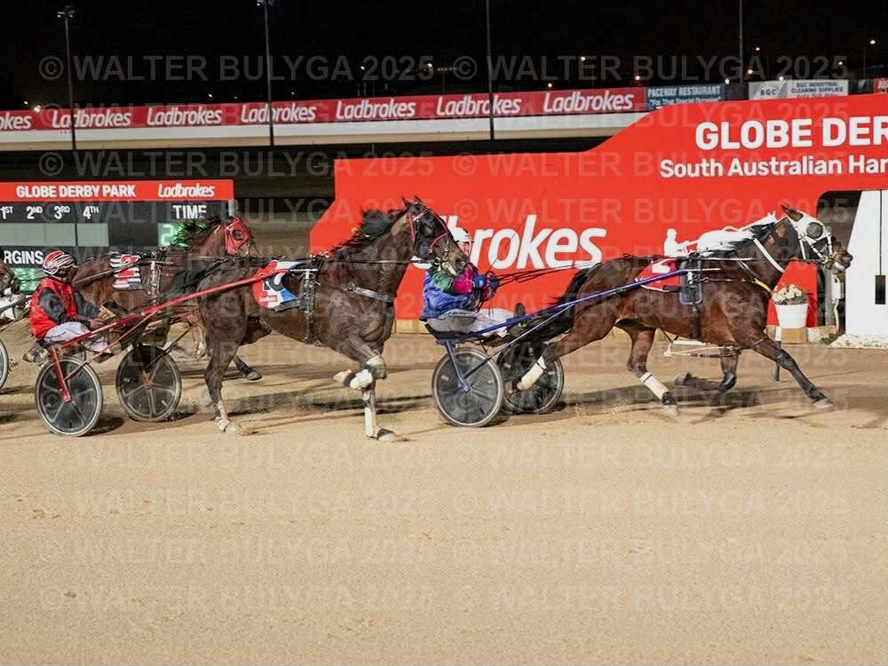 $200,000 night looming at Globe Derby Park