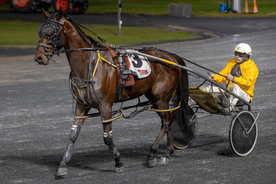 Belle on the ball for Wamuran horseman