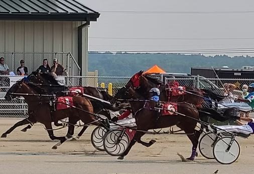 Beattie and Nisonger dominate Warren County Fair