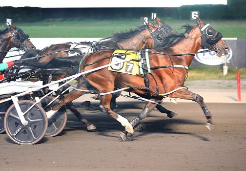 $147,500 William Haughton winners post double figure upsets