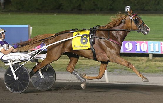 Elista Hanover dominates $425,000 Hambletonian Maturity