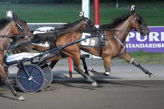 McCARTHY OPTS FOR MISS BELMAR IN OAKS