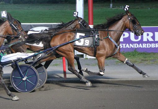 Fillies punch tickets to $500K Hambletonian Oaks Final