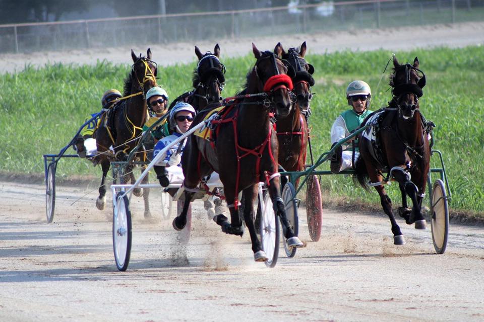 Washington (PA) Fair produces several repeat winners