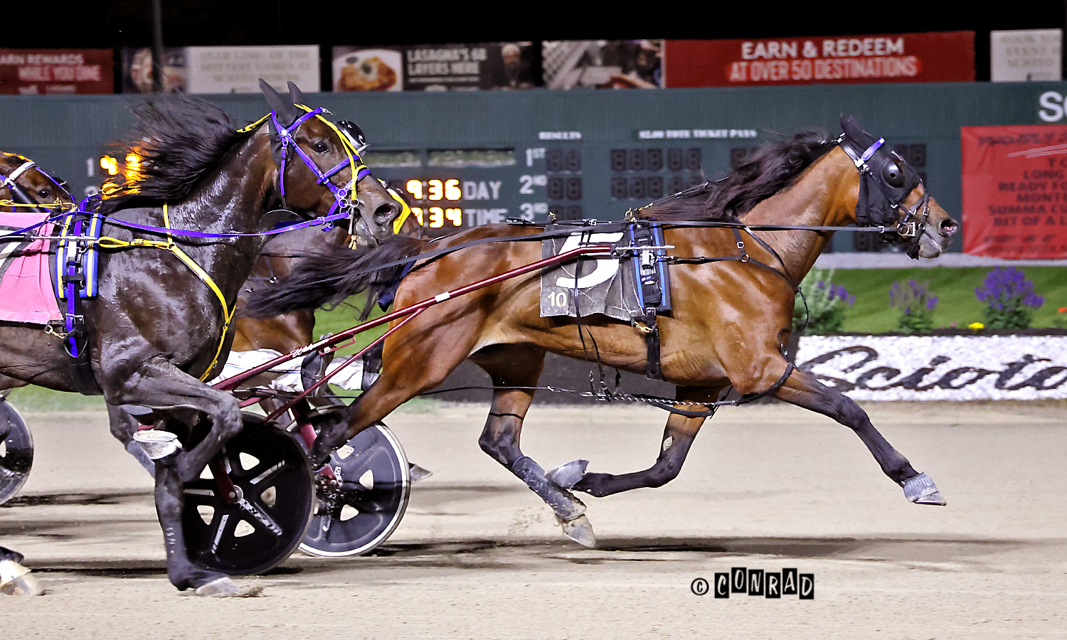 Volstead mare eyes $1 million milestone