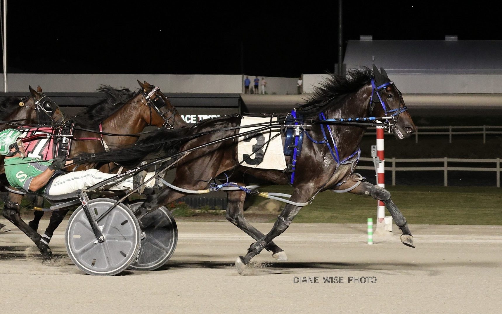 Four repeat winners highlights third leg of Buckeye Stallion Series