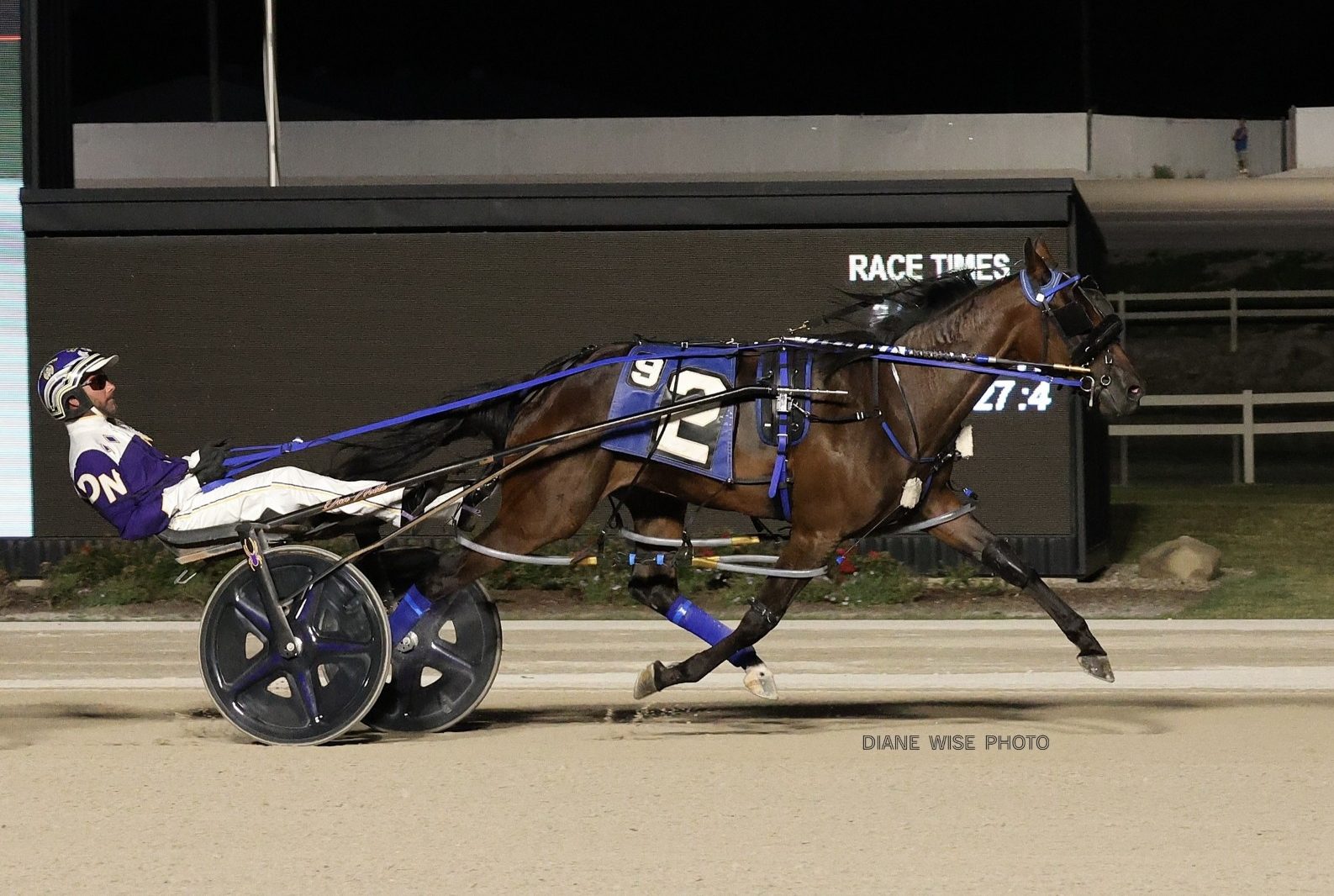 Lather Up filly seeking third Buckeye Stallion Series win