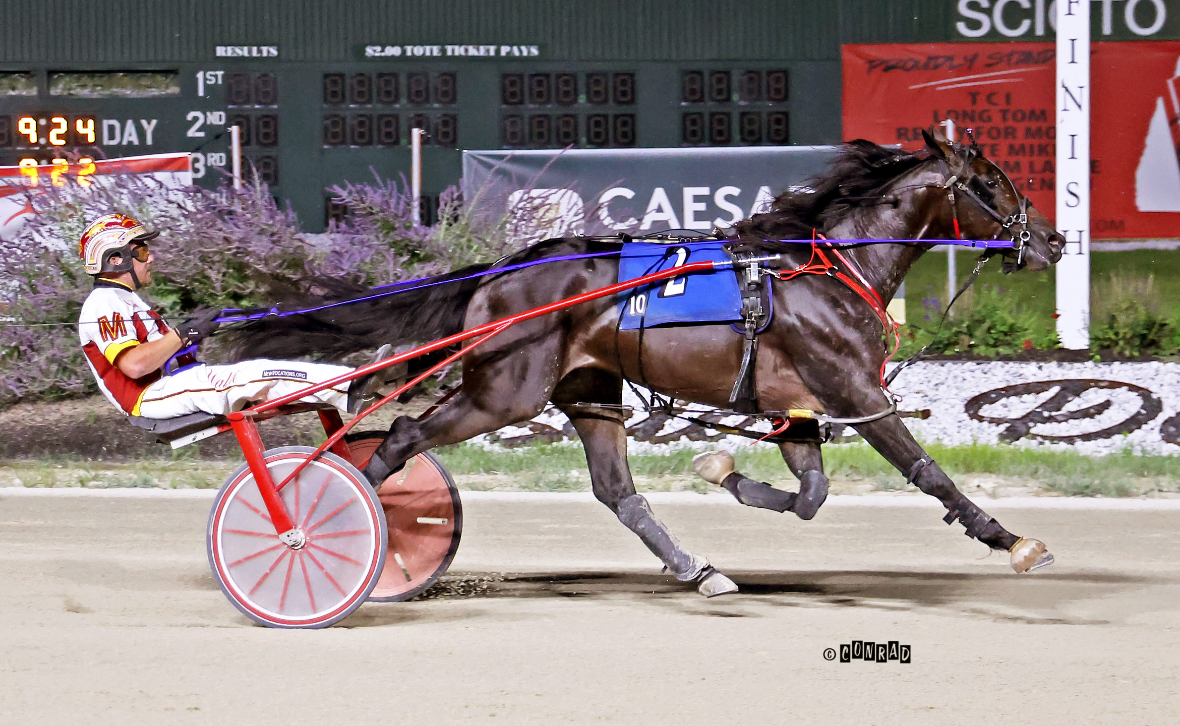 Okay One More seeking his third BSS victory