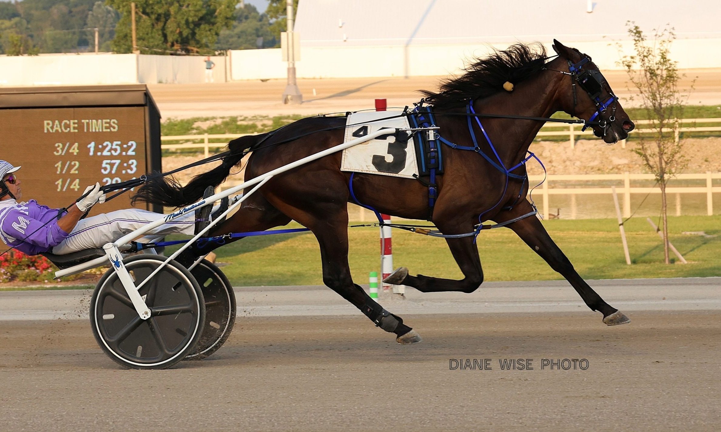 Big night for sophomore trotters in Ohio Sires Stakes