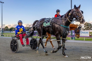 Hale Saint Louie capable of ending a 15-month drought