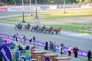 Markham happy to be back in WA