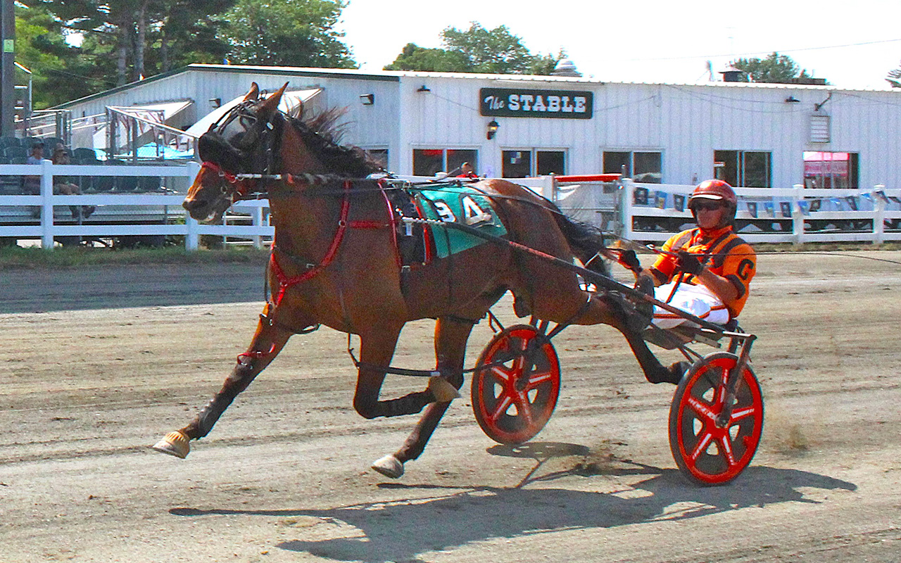 Daytoremember in Maine Sire Stakes