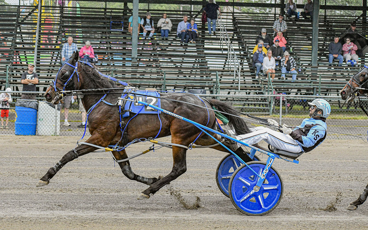 Switzer dominates freshman colt paces