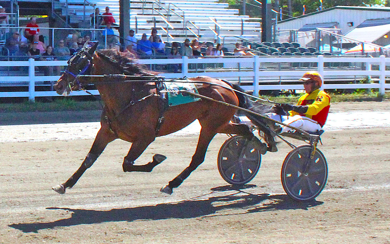 Maine trotters scamper with new records