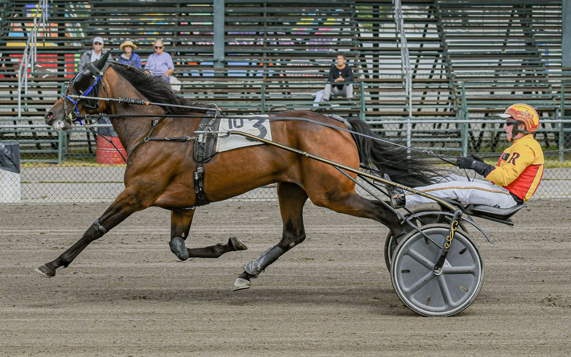 RELEASE: Maine trotters hustle thru Windsor