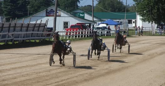 Quick performances from in-form horses