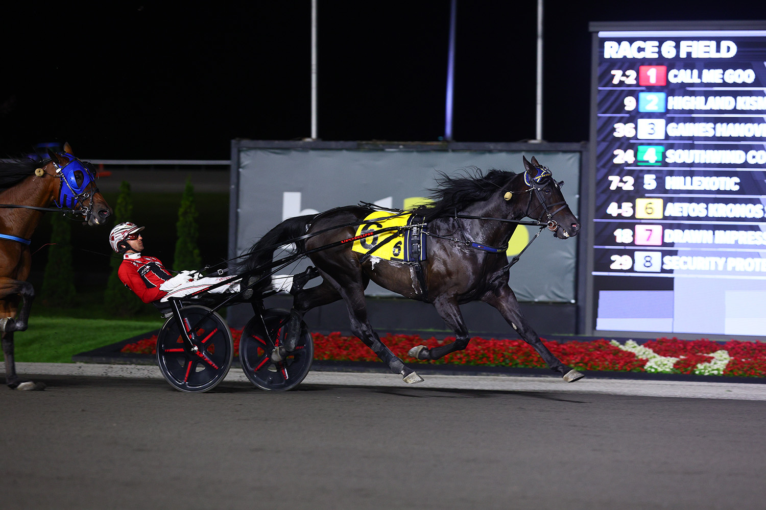 Field grows to eight for $1,000,000 MGM Yonkers Trot