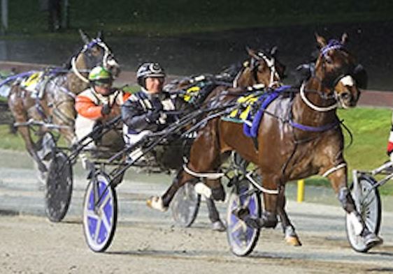 Spring racing just days away