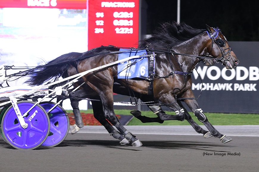 Ardonne shines ahead of $485,000 Wellwood Memorial