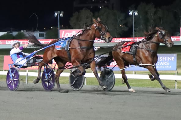 Arrive’s courageous win in QBred Final