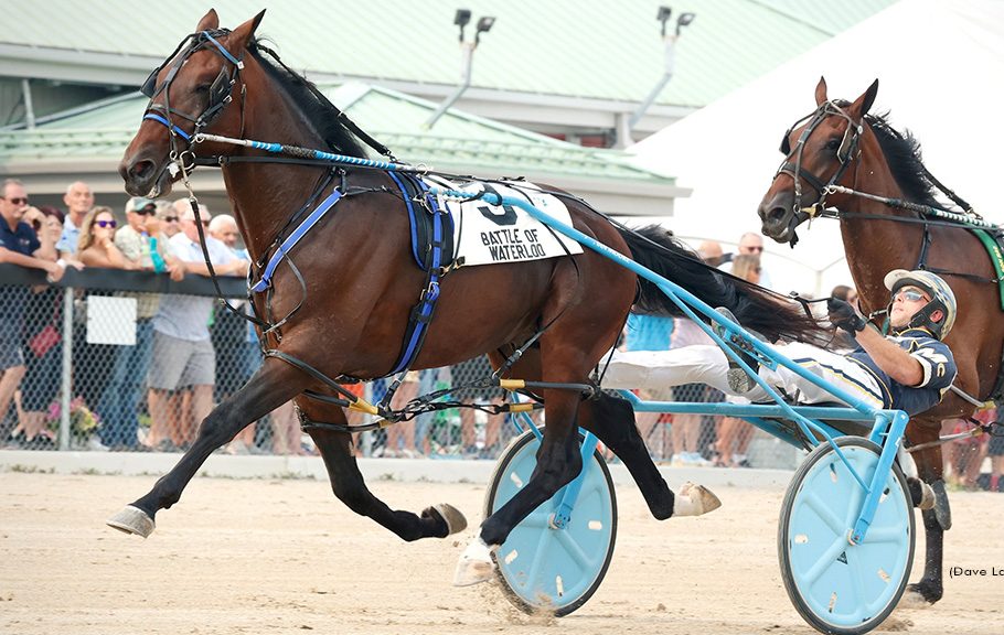 Bulldog Hanover filly smashes track record in Battle of the Belles