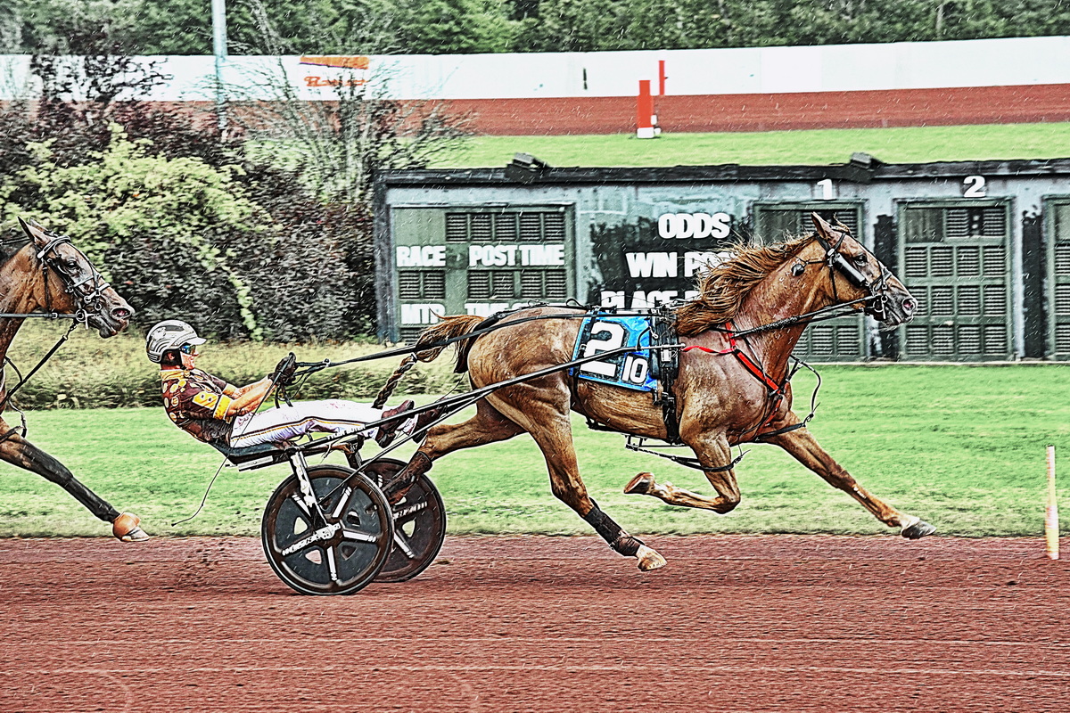 Main events taken by longshot winners