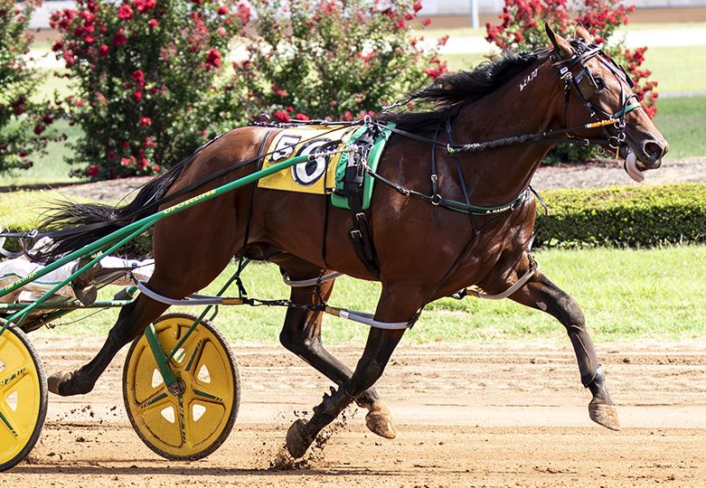 Brandon Blvd remains undefeated at Red Mile