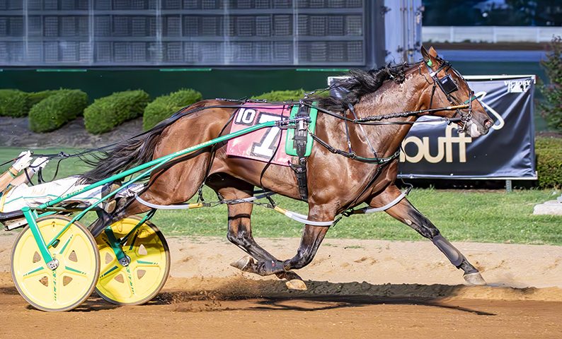 Unblemished record on the line for Brandon Blvd