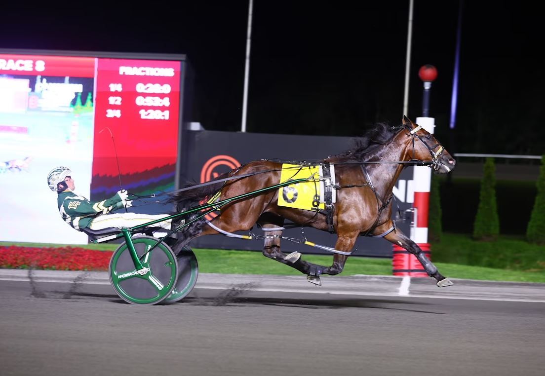 Bythemissal matches all-age record in Canadian Pacing Derby Elim