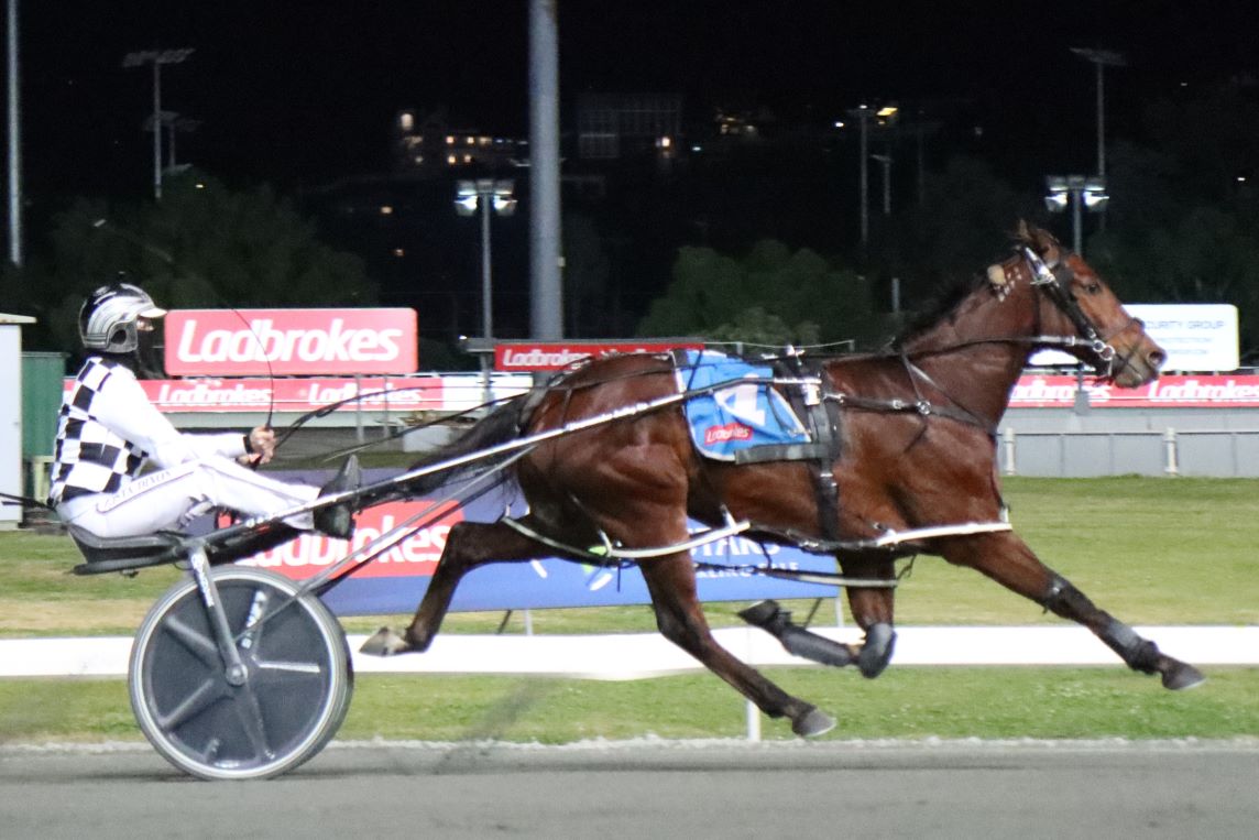 Call to Order gets his Eureka campaign on track again