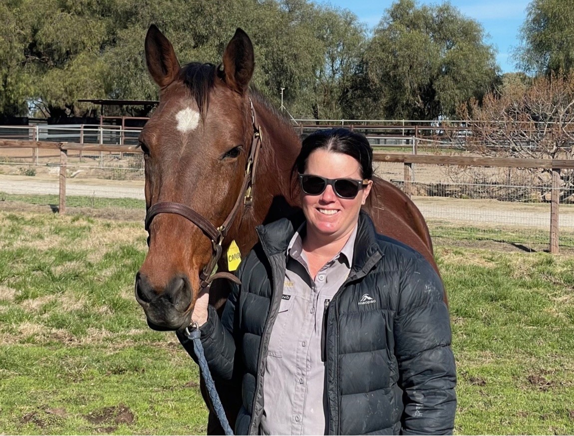 Alabar draft full of classic winners 