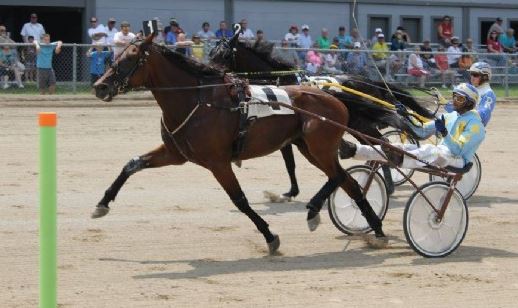 OHHA to Live Stream 3 days from Champaign County Fair
