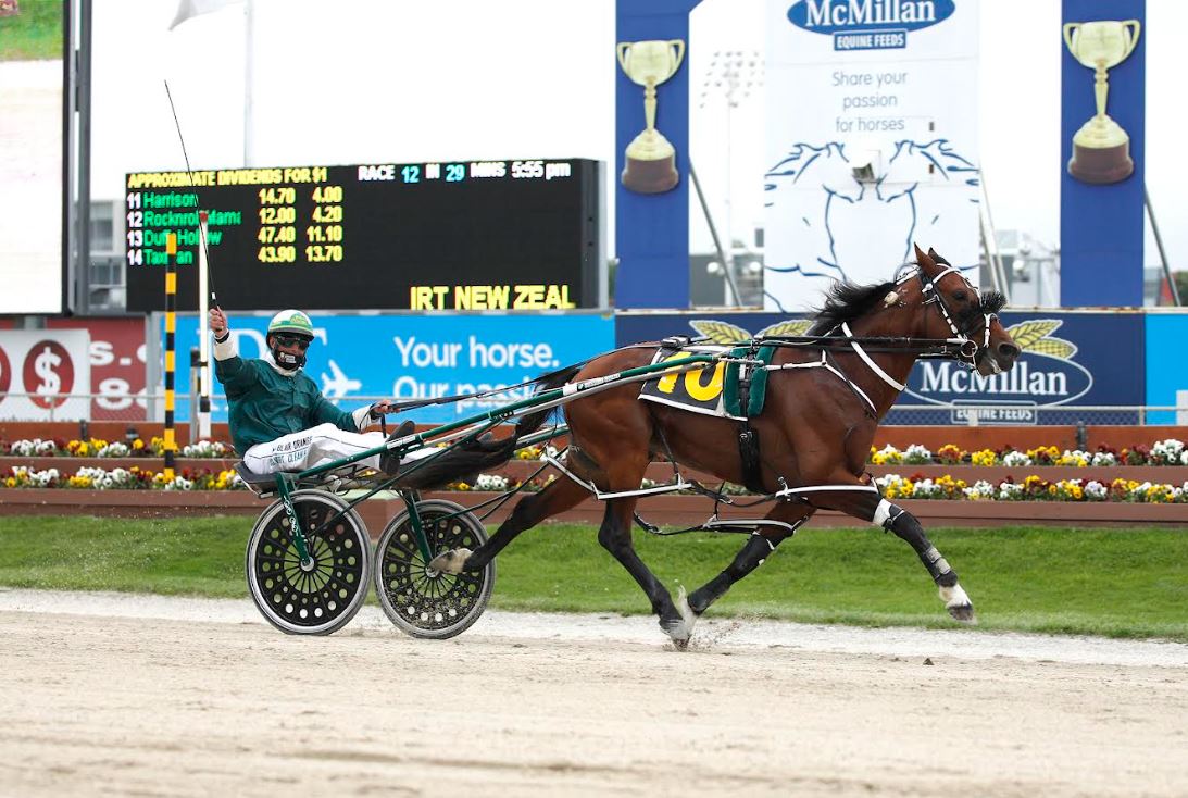 NZ superstar Copy That to stand at stud in WA