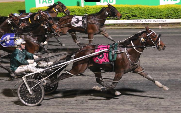 Just days to go in the free Copy That! and Alabar stallion services raffle