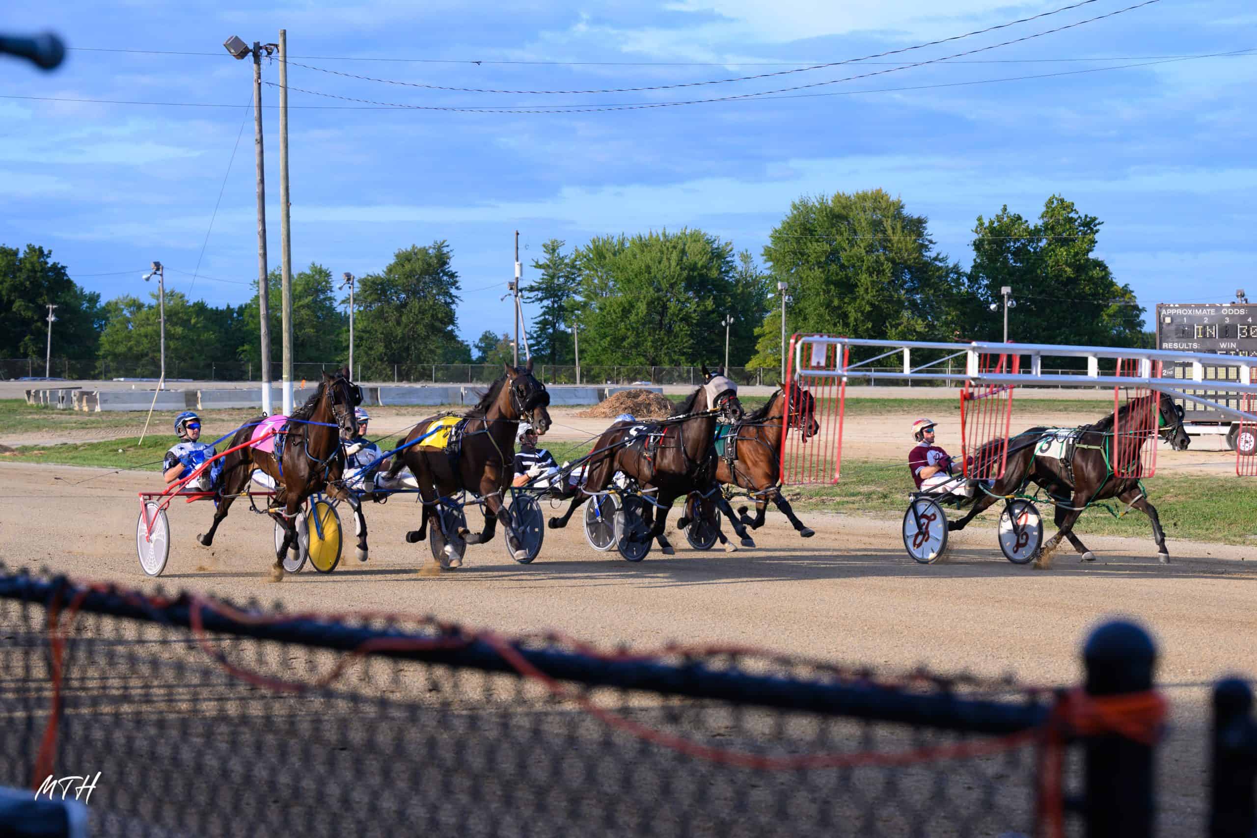 OHHA to Live Stream from 175th Allen County Fair