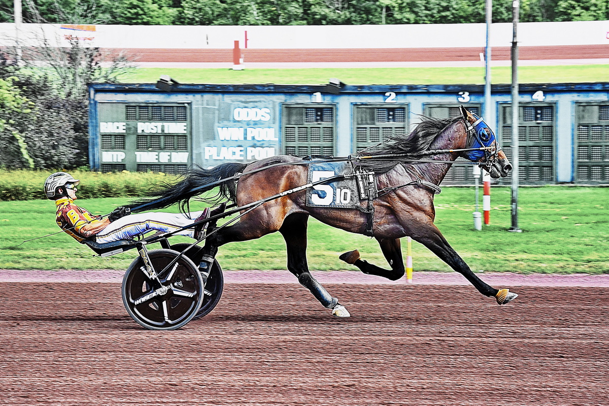 Daiquiri Hanover handles opponents easily
