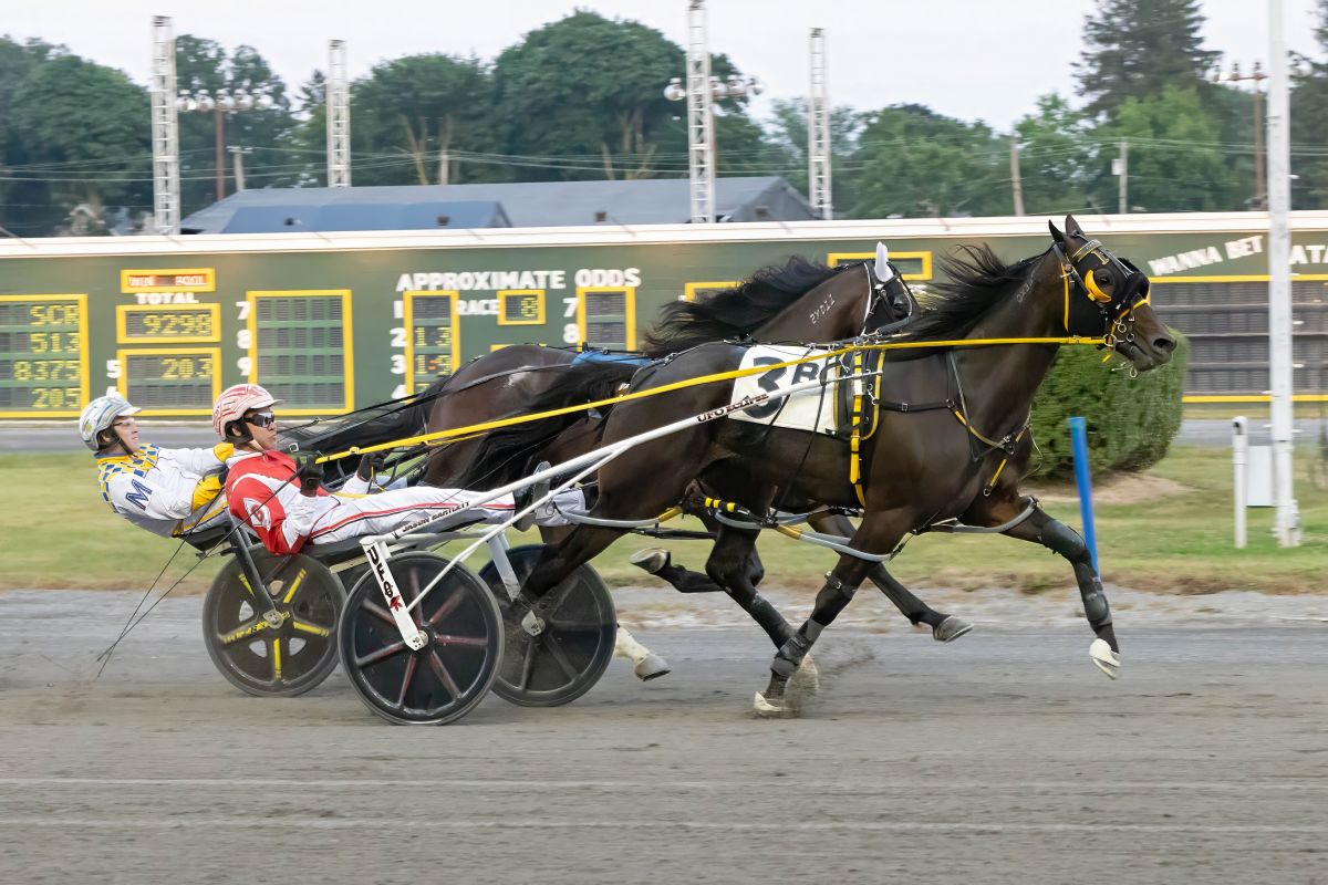 Fast Choice breaks track record in NYSS