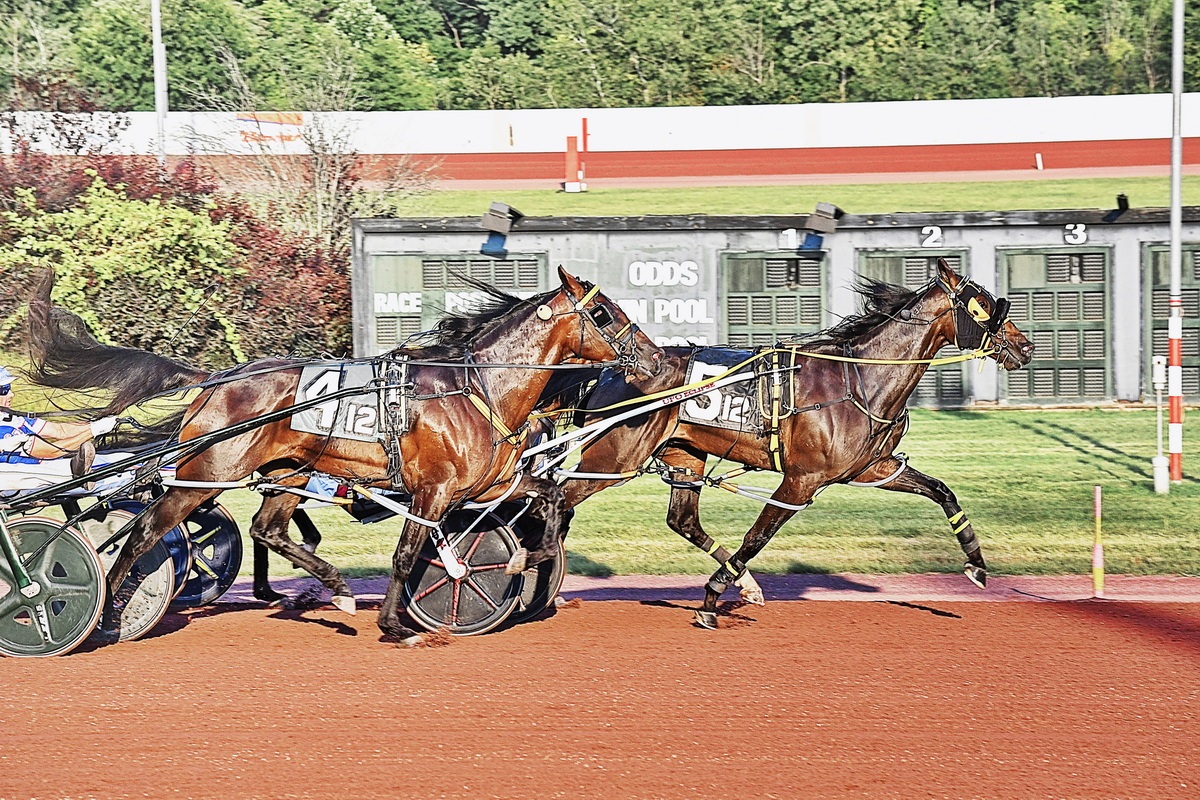Comfortable win to Dandy Ideal in $300,000 Hempt Memorial