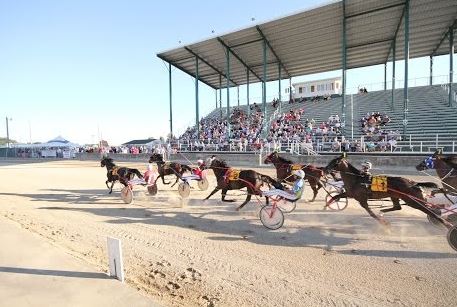 OHHA to Live Stream Races from Monroe and Defiance County Fairs