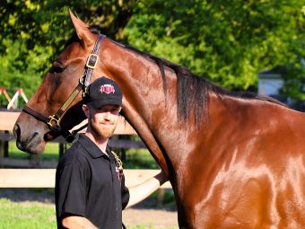 Zeron, Wallin chasing Hambletonian, Oaks history