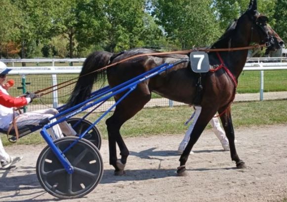 Diamond Truppo returns a winner