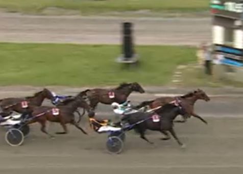 Double Deceiver takes STL Gold