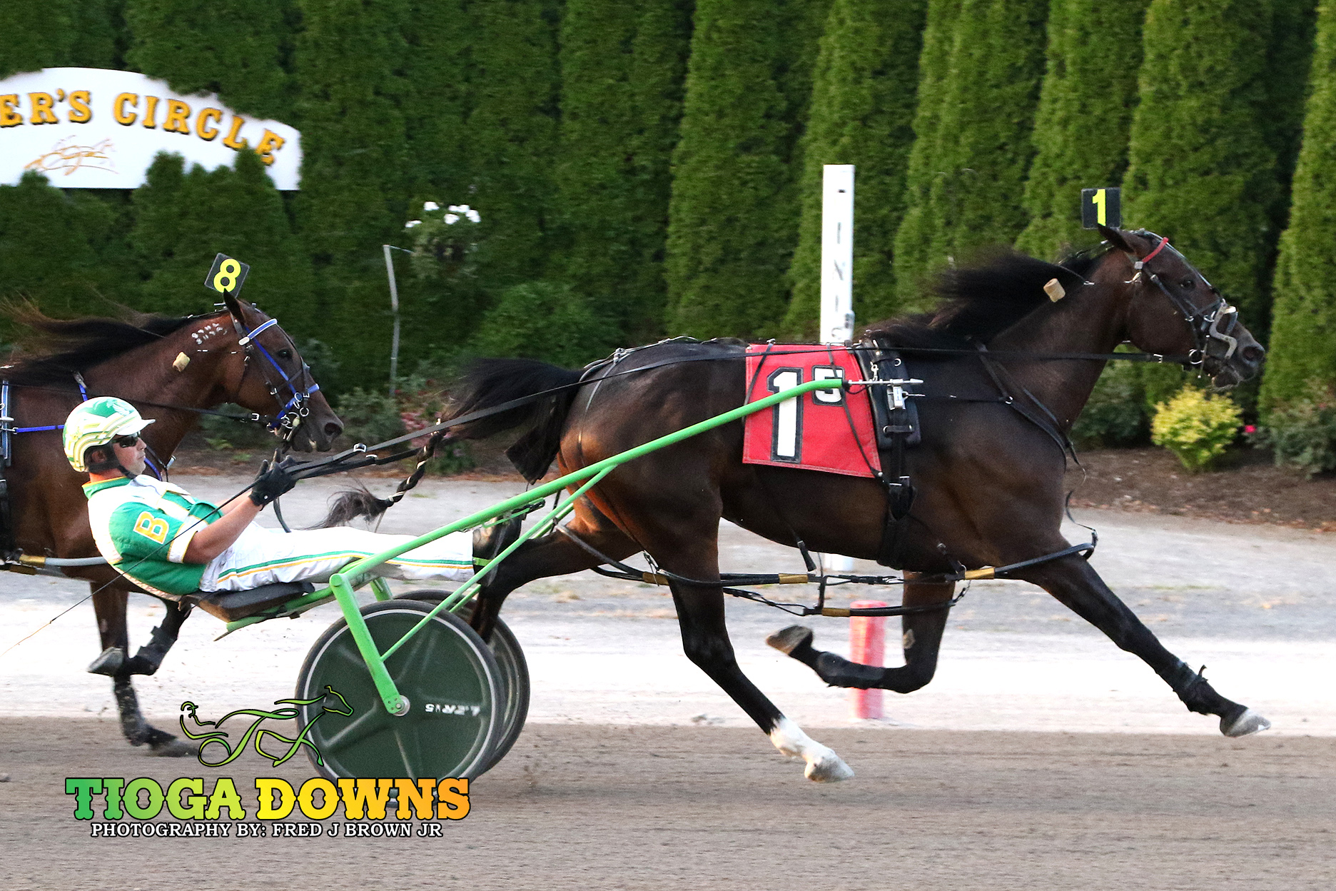 Dressed To Kill fires late to win