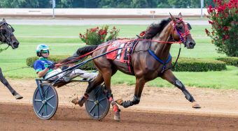 Endurance seeking to maintain win streak