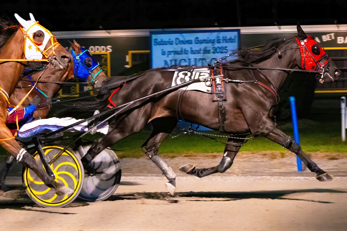 Jim Morrill Jr. and Sam Smith dominate harness card