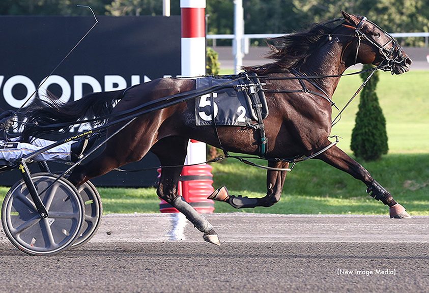 Fashion Frenzie victorious Preferred Trot