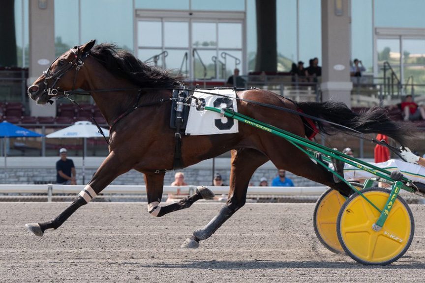 Three-year-old trotters star on 13-race card