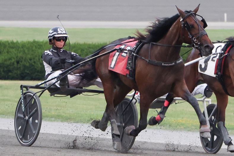 Jula Hot To Chill & Flying Copper triumph in NYSS