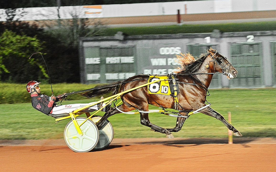 Frantic Hanover repeats in PaSS division